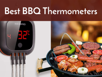 best bbq thermometers