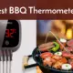 best bbq thermometers
