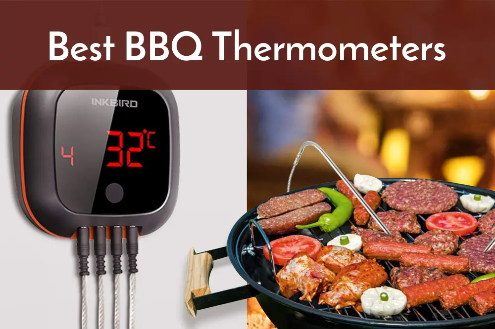 11 Best BBQ Thermometers for 2021 Reviews & Buying Guide Spicy Salty