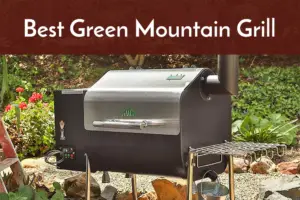 best green mountan grill