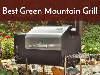 best green mountan grill