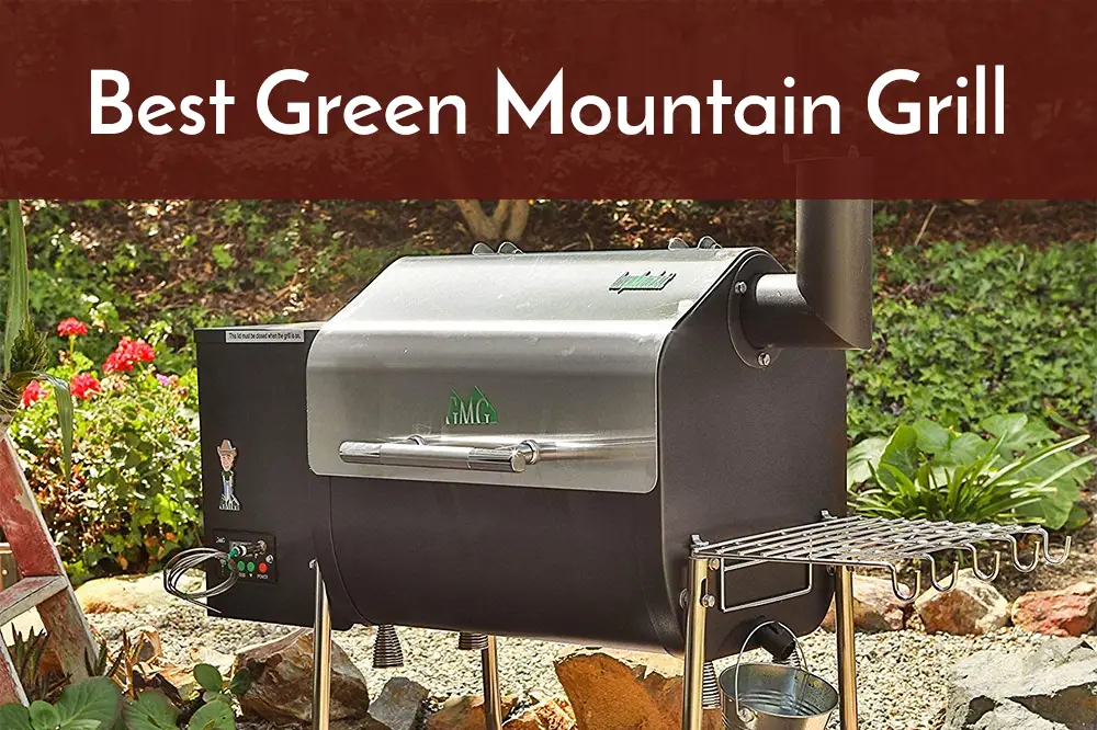 Best Green Mountain Grill Reviews in 2021 Spicy Salty Sweet