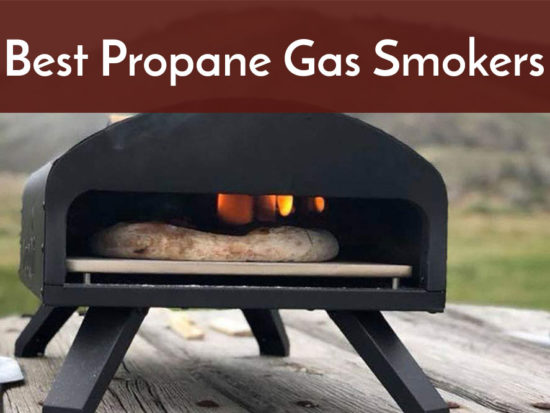 best propane gas smoker