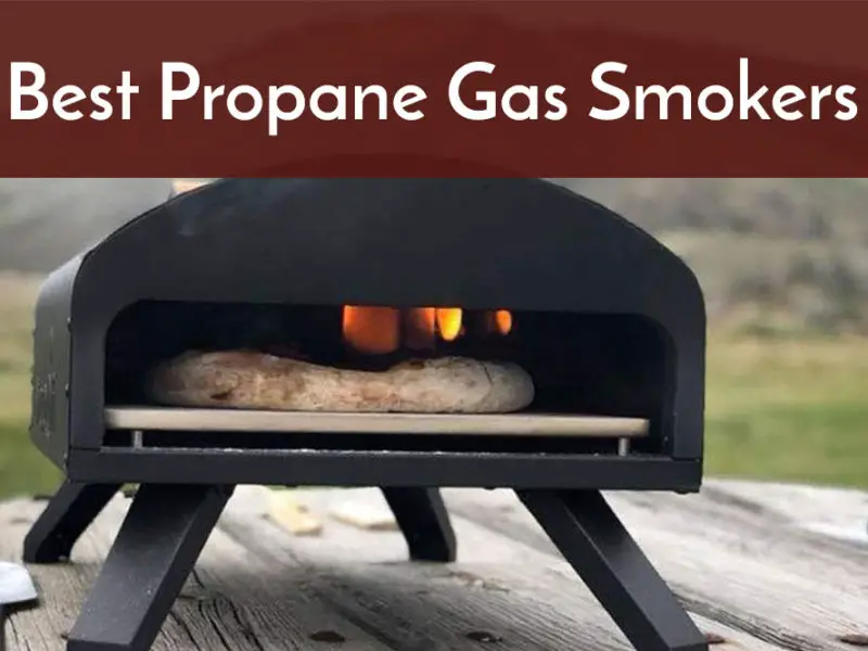 best propane gas smoker