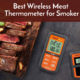 best wireles smeat thermometer