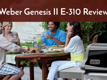 weber genesis ii e-310 review