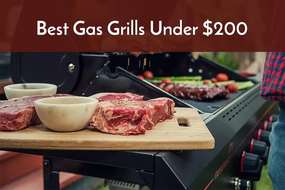 Best Gas Grills Under 200 Buying Guide Spicy Salty Sweet