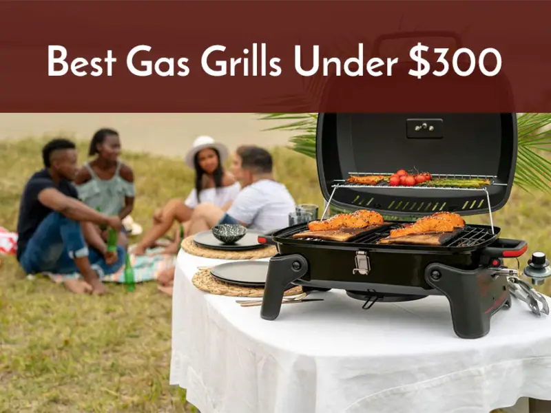 best gas grills under 300