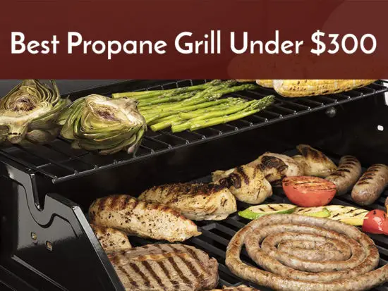 best propane grill under 300