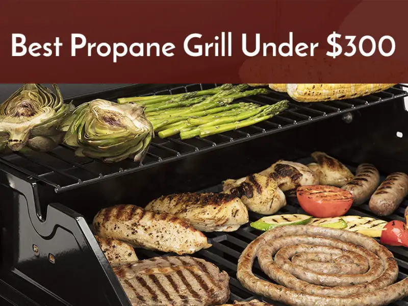 best propane grill under 300