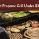 best propane grill under 300