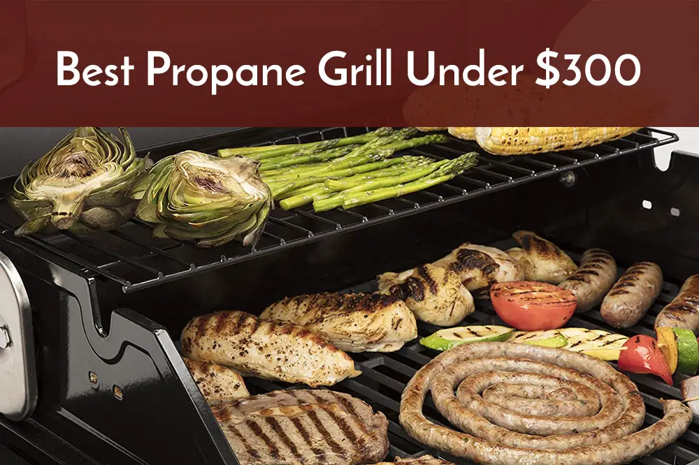 Best Propane Grill Under 300 Look No Further Spicy Salty Sweet