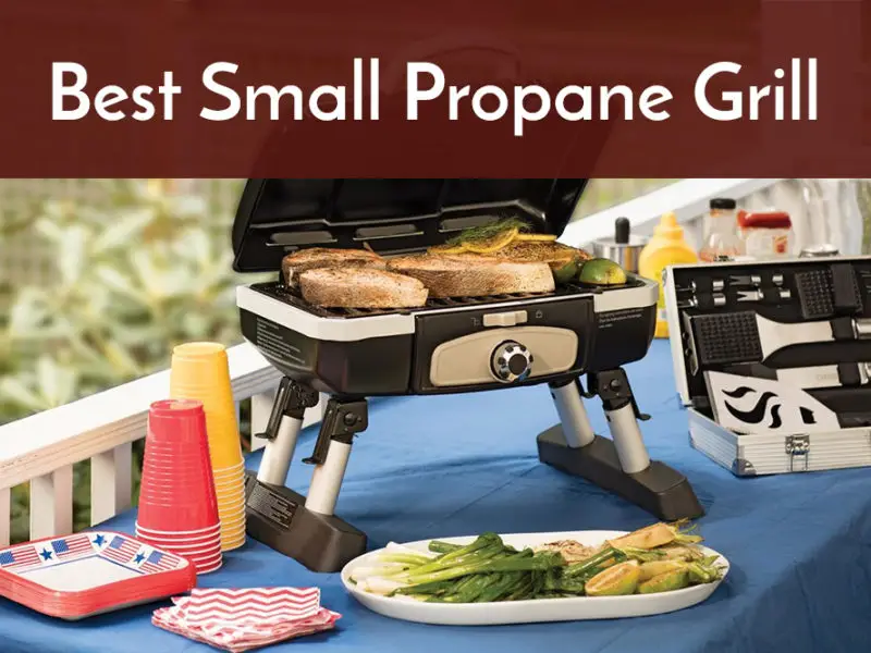 best small propane grill