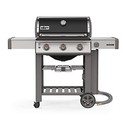 weber 66011001 genesis ii