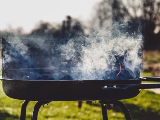 how to keep flies away from smoker