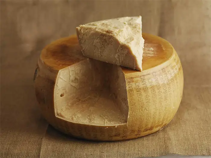 parmisan cheese
