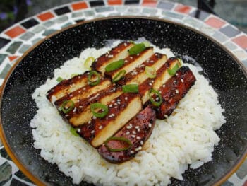 vegan BBQ teriyaki tofu