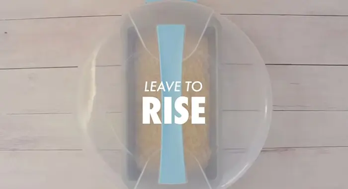 leave to rise