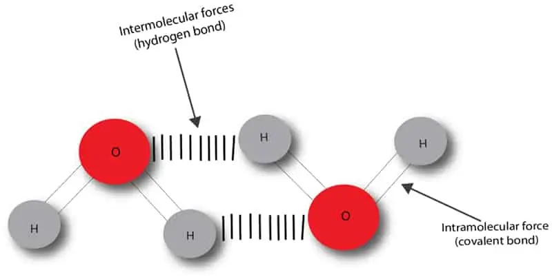 intermolecular and intramolecular forces