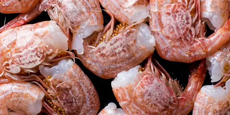 shrimp roe appearance 
