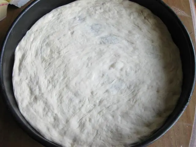 place dough in the pan