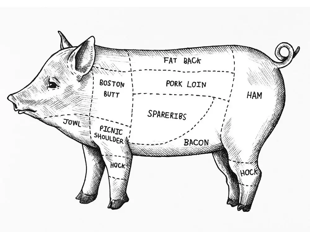 Pork And Ham Hocks In A Pig