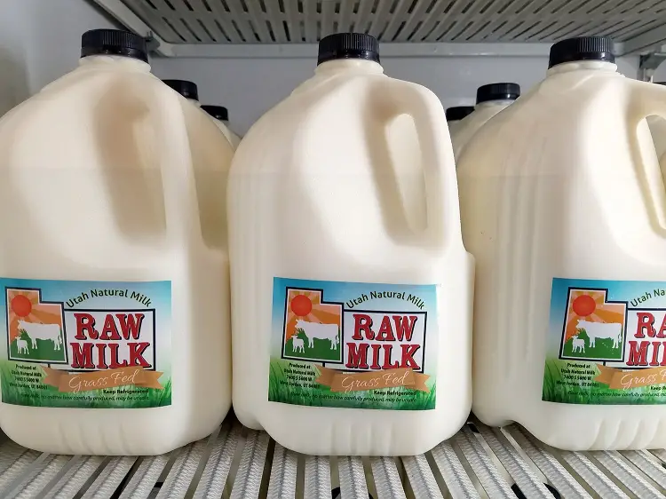Is Non-Homogenized Milk the Same as Raw Milk